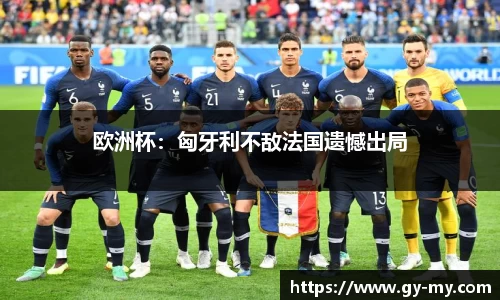 欧洲杯：匈牙利不敌法国遗憾出局