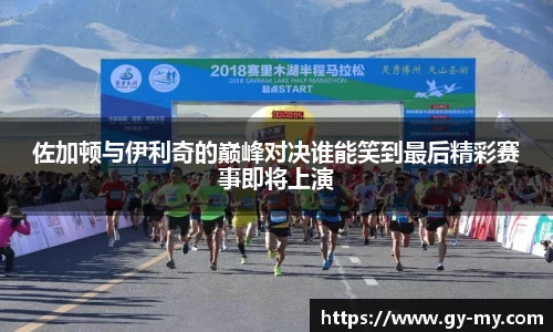 佐加顿与伊利奇的巅峰对决谁能笑到最后精彩赛事即将上演